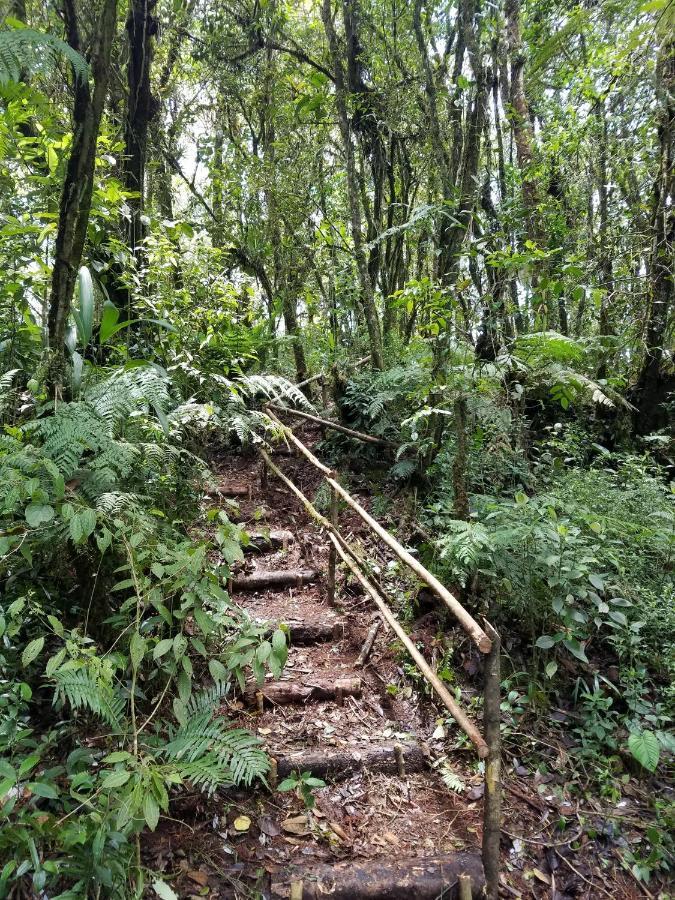 Escapadita Al Bosque San Isidro  Exterior foto