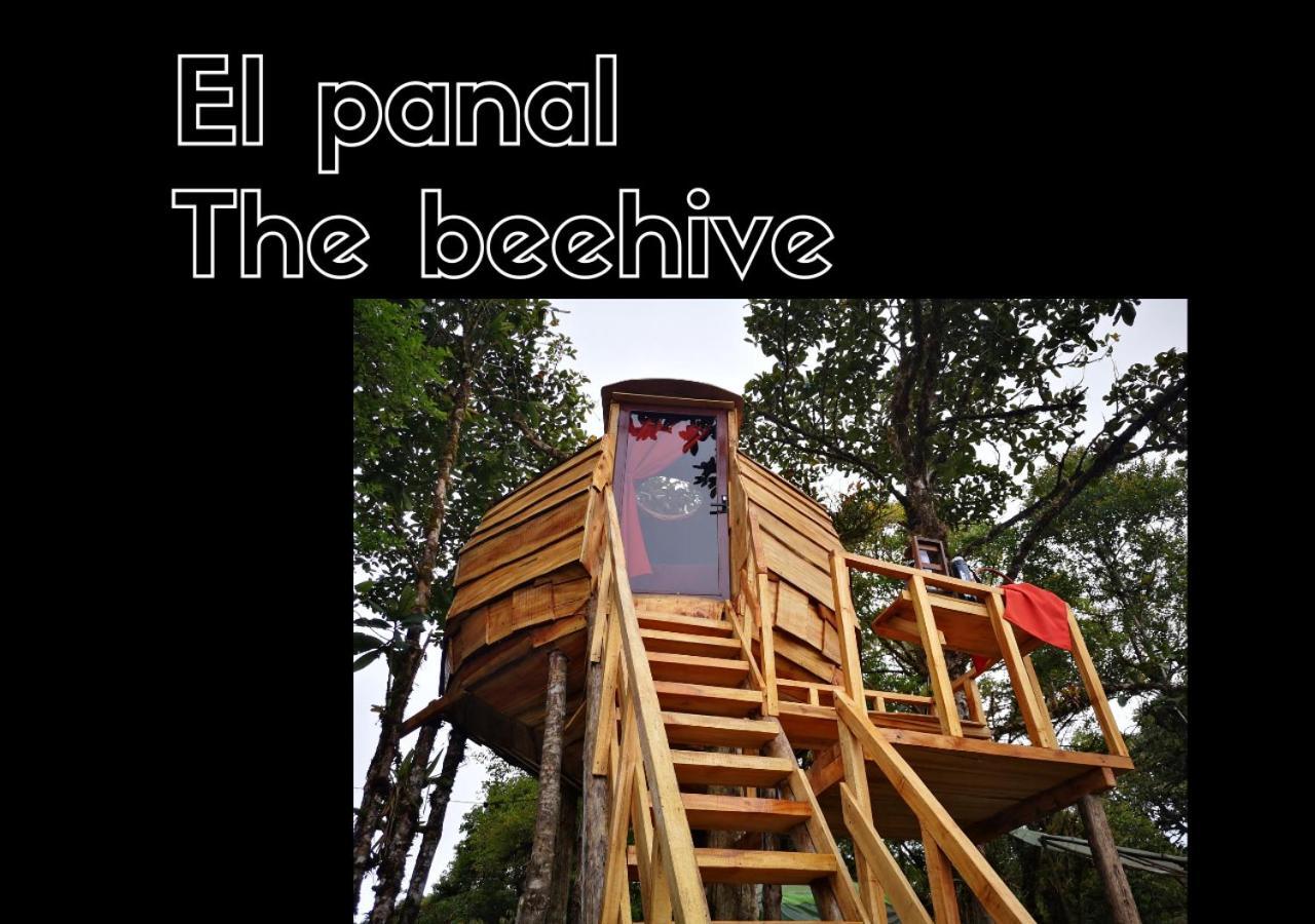 Escapadita Al Bosque San Isidro  Exterior foto